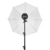 Quadralite Up! 600 - Kit 2 Flash da Studio 300W + 2 stativi + 1 ombrello + 1 softbox
