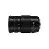 Obiettivo Panasonic Lumix G Vario 100-300mm f4-5.6 II OIS H-FSA100300