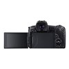 Fotocamera Mirrorless Canon EOS R kit RF 24-105mm F4L IS USM + adattatore EF-EOS R