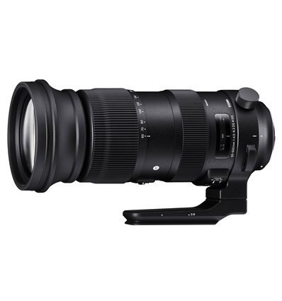 Obiettivo Sigma 60-600mm F4.5-6.3 DG OS HSM Sport per Nikon
