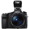 Fotocamera Sony Cyber-shot DSC-RX10 IV [MENU ENG] DSC-RX10M4