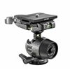 Gitzo Testa a sfera Serie 1 QD GH1780QD