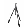 Gitzo Treppiedi Mountaineer Serie 1 - 3 sezioni in carbonio GT1532