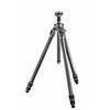 Gitzo Treppiedi Mountaineer Serie 2 - 3 sezioni in carbonio GT2532