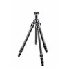 Gitzo Treppiedi Mountaineer Serie 2 - 4 sezioni in carbonio GT2542