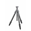 Gitzo Treppiedi Mountaineer Serie 3 - 4 sezioni in carbonio GT3542
