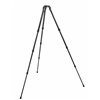 Gitzo Treppiedi NewSystematic serie 2 CF 6X 4 sez. GT2542S