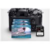 Scheda di memoria SD Sony 64GB 300MB/s - SF-G64 SDXC Classe 10 UHS-II U3
