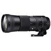 Obiettivo Sigma 150-600mm f/5-6.3 DG OS HSM Contemporary per Nikon PRONTA CONSEGNA