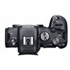Fotocamera Mirrorless Canon EOS R6 kit 24-105mm f/4L + adattatore EF-EOS R