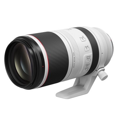 Obiettivo Canon RF 100-500mm f/4.5-7.1 L IS USM per mirrorless EOS R