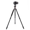 Triopo Treppiedi in alluminio MT-2504X8.C + Testa NB-1S