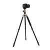 Triopo Treppiedi in alluminio MT-2504X8.C + Testa NB-1S