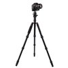 Triopo Treppiedi in alluminio MT-2505X8.C + Testa NB-1S