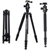 Triopo Treppiedi in carbonio GT-2504 + Testa N-1
