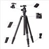 Triopo Treppiedi in carbonio GT-2504 + Testa N-1