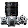 Fotocamera Mirrorless Olympus OM-D E-M5 Mark III kit 12-45mm F/4 silver