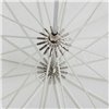 Quadralite Deep Space 130 ombrello parabolico trasparente