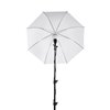 Quadralite kit di illuminazione LEDTuber Lighting (lampadine + stativi + ombrelli)