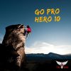 GoPro Hero 10 Black Videocamera Action Cam