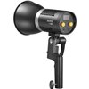 Godox ML60Bi Faretto LED Luce continua