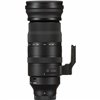 Obiettivo Sigma 150-600mm F5-6.3 DG DN OS Sports Panasonic Leica Sigma L-Mount
