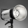 Quantuum Fomex E 800 Flash da studio (800ws) E800 E-800