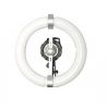 Quantuum Fomex N-Light 300W solo lampada
