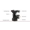 Sunwayfoto DT-02D50 Testa per monopiede con Clamp