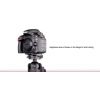 Sunwayfoto PN-D600 piastra per Nikon D600