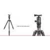 Sunwayfoto FB-28i testa per treppiedi ballhead screw-knob clamp