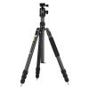 Genesis Base C5 Treppiedi kit - treppiede verde con BH-40 testa a sfera
